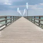 Treibholz - Feriendomizil Ostsee Apartamento Schonberger Strand