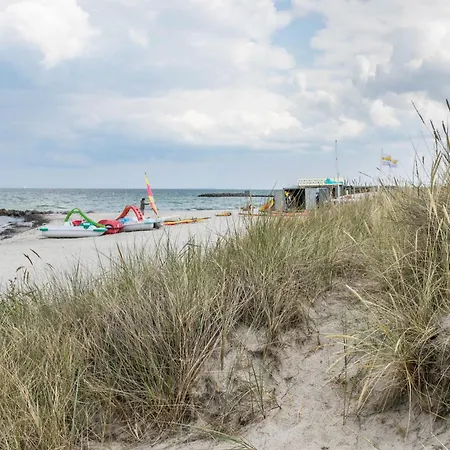 Treibholz - Feriendomizil Ostsee Schonberger Strand